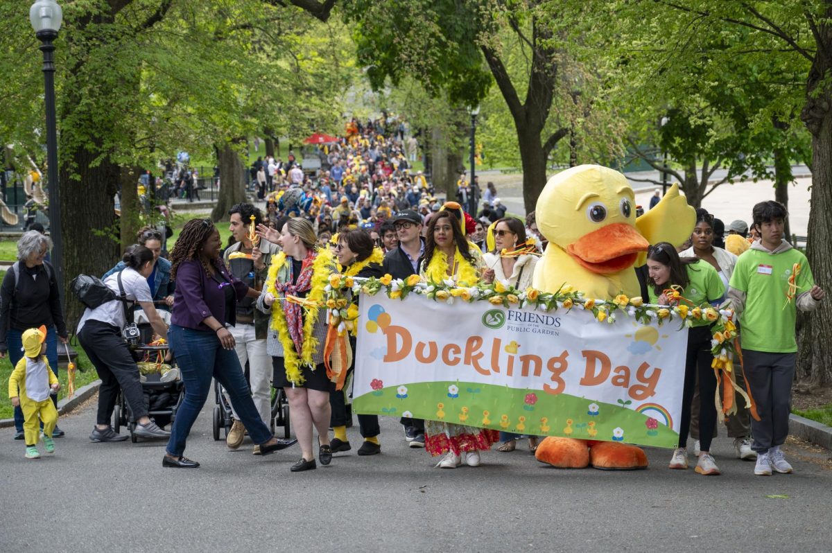 The Duckling Day mascot and Friends of the Public Garden hosts lead parade participants through Boston Common while holding a Duckling Day banner. Spectators smiled and took photographs, commenting on the adorable duckling costumes.