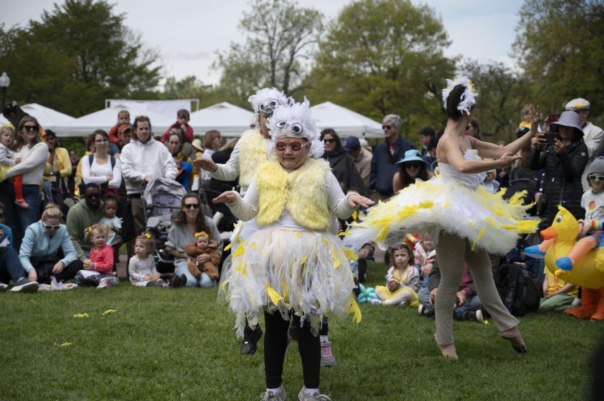 Two ducklings flap their wings during a dance performance. Dancers from the City Ballet of Boston and the Tony Williams Dance Center performed ballet routines for the crowd.