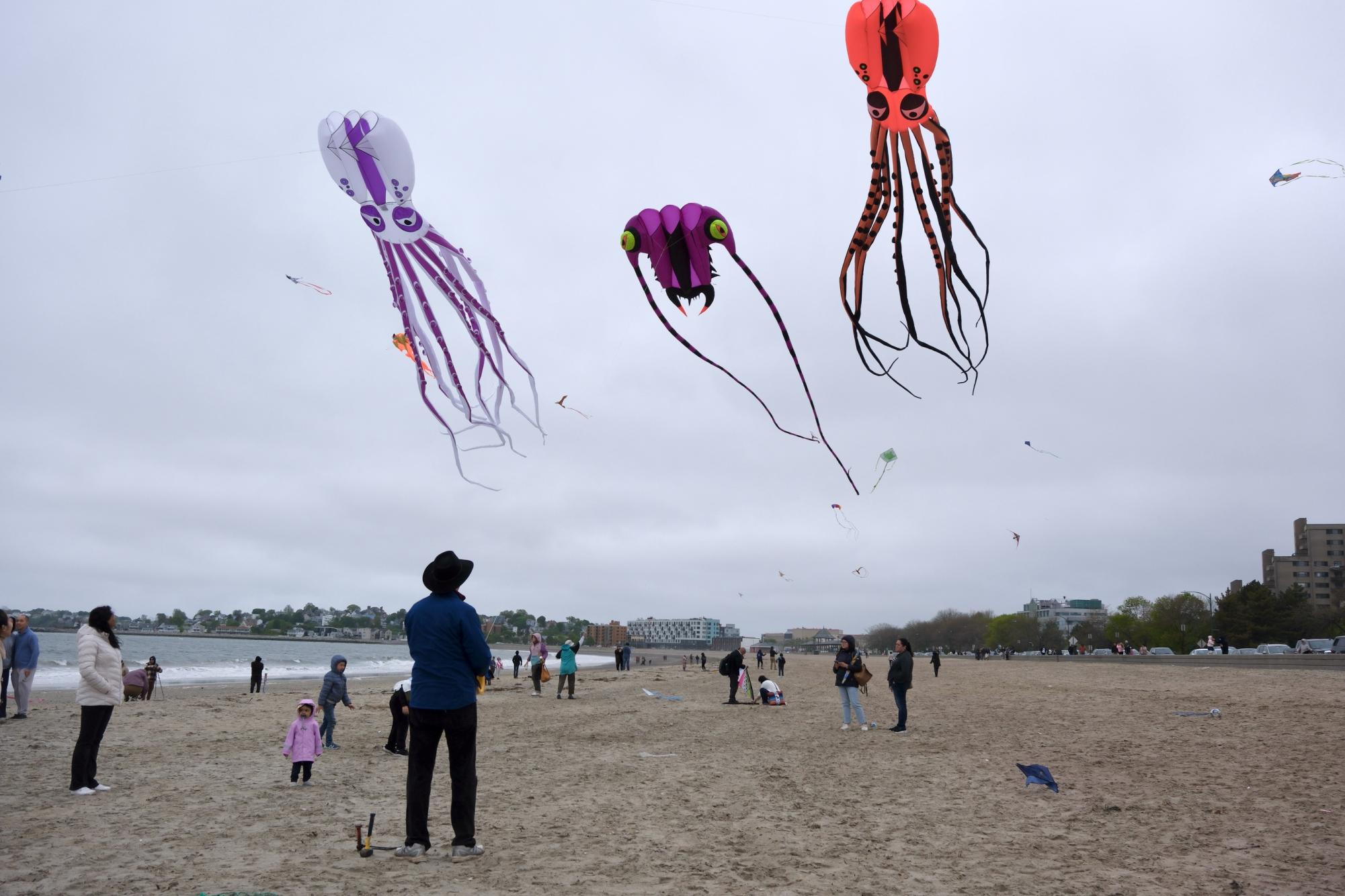 Revere Beach Kite Festival 2024: A Colorful Celebration of Kites and Culture