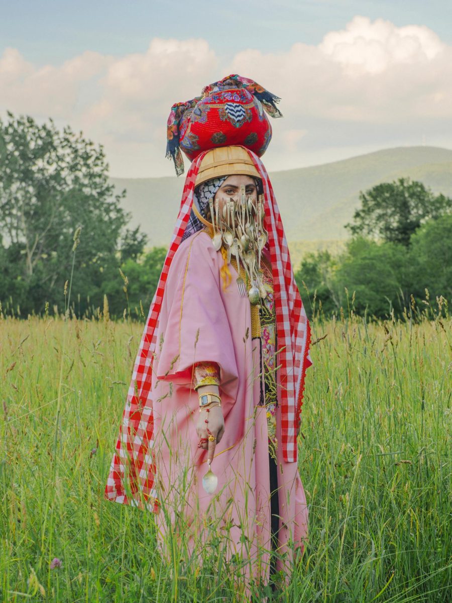 A self-portrait of Feda Eid titled Picnic. Eid announced that she was withdrawing her “Diasporic Threads” exhibit from Northeasterns Gallery360 in an Instagram post May 27. Photo courtesy Feda Eid.