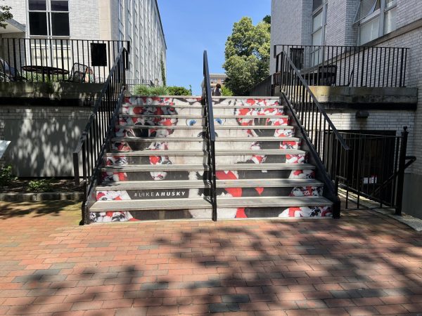 The Krentzman stairs covered with a decal of Paws. The stairs were previously covered with decals of popular book titles with various Northeastern puns.