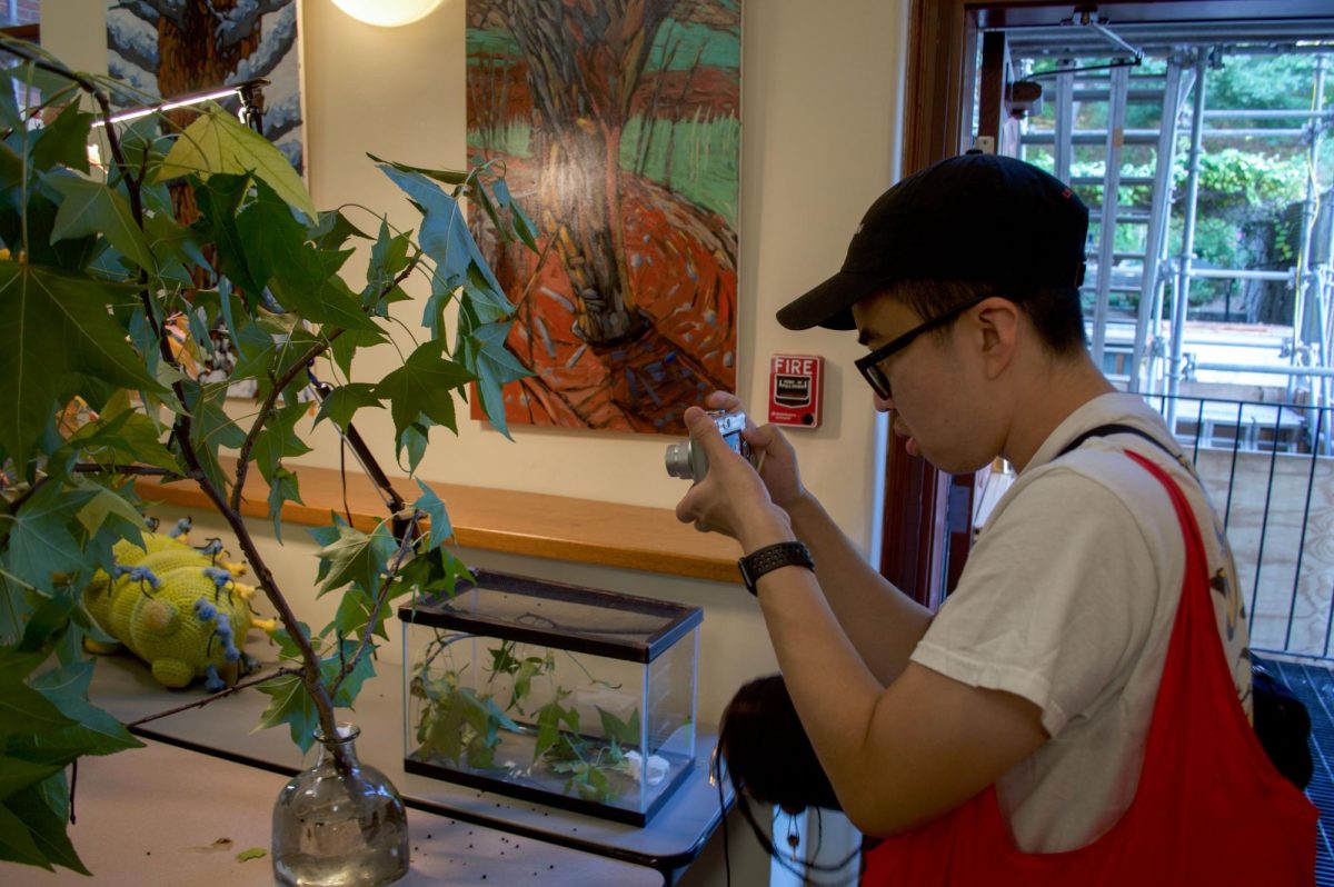 An attendee snaps a closeup of a caterpillar. Viewers had to crouch closely to pick out many of the caterpillars.