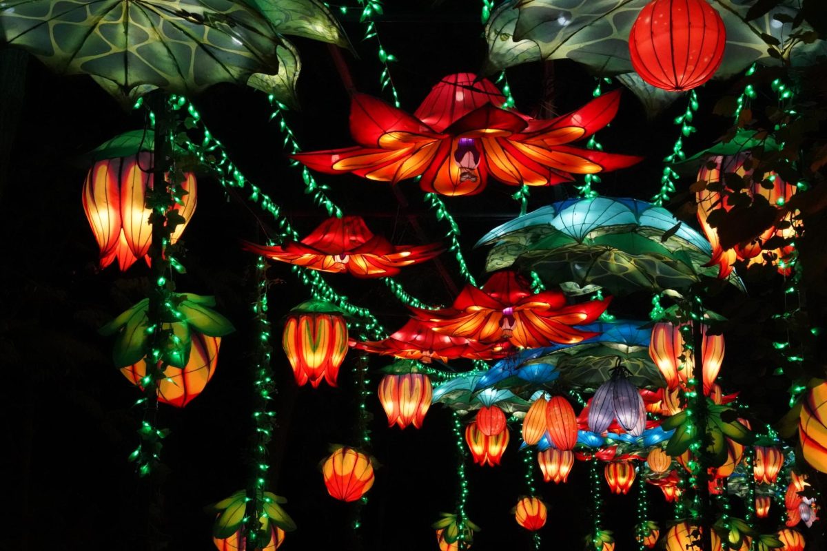 Red flowers cover the ceiling of a tunnel. Tianyu Arts & Culture handcrafted all of the lanterns using fabric and LED bulbs. 