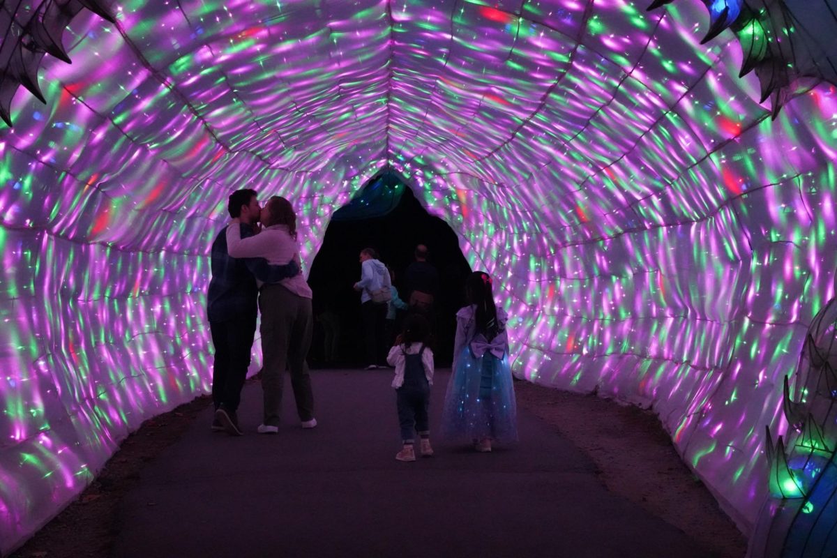 Guests wander through a multicolored tunnel. Boston Lights included interactive lanterns that responded or emitted smoke when touched.