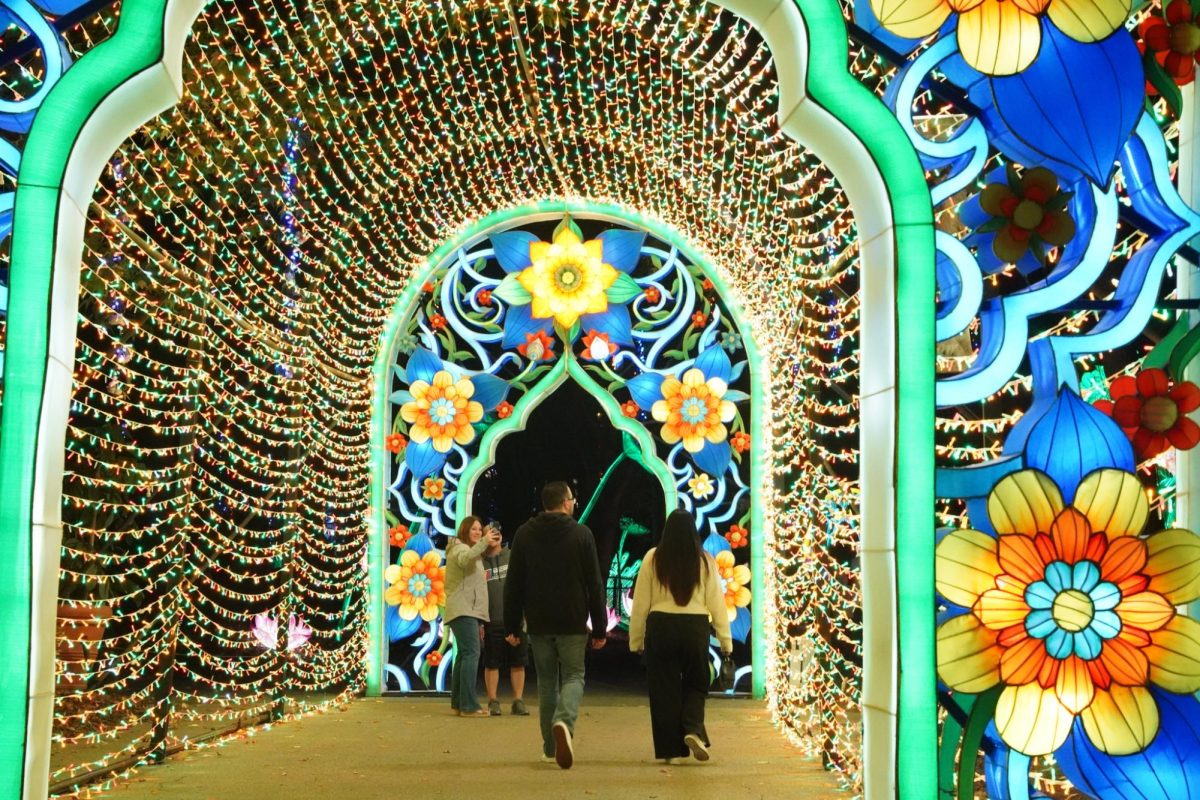 A group walks under a glowing archway. Children and adults alike participated in a scavenger hunt and looked for hidden treasure chests.