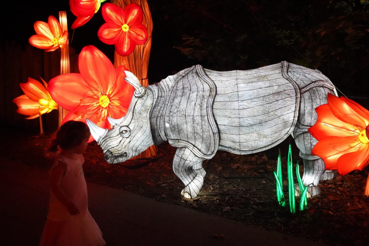 A child passes a rhinoceros lantern. The zoo dedicated areas to different regions of the world including  India and China.