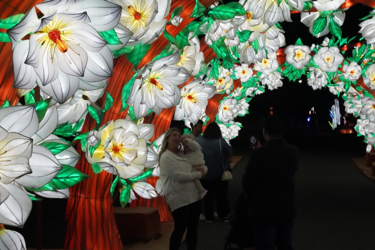 A wall of white flowers illuminates the path. Many visitors stopped and posed under the numerous archways featured at Boston Lights.