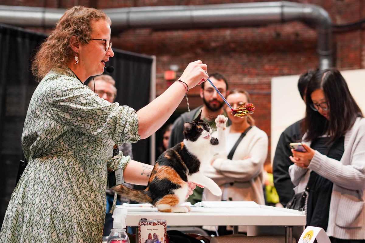 Shelley Elliot-Jenkins judges Trinity in her judging circle. Trinity was named Best Household Cat.