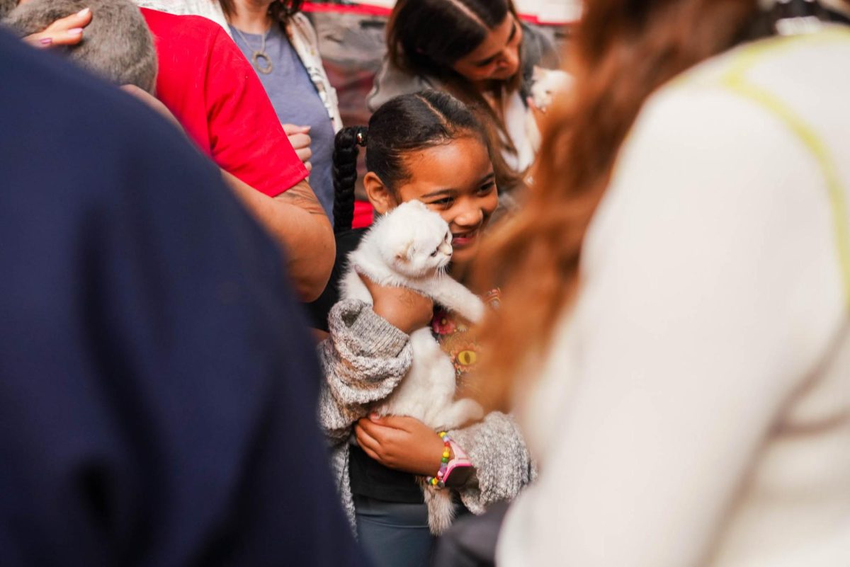 A child poses with a Scottish fold kitten. Many people took pictures with the cats.