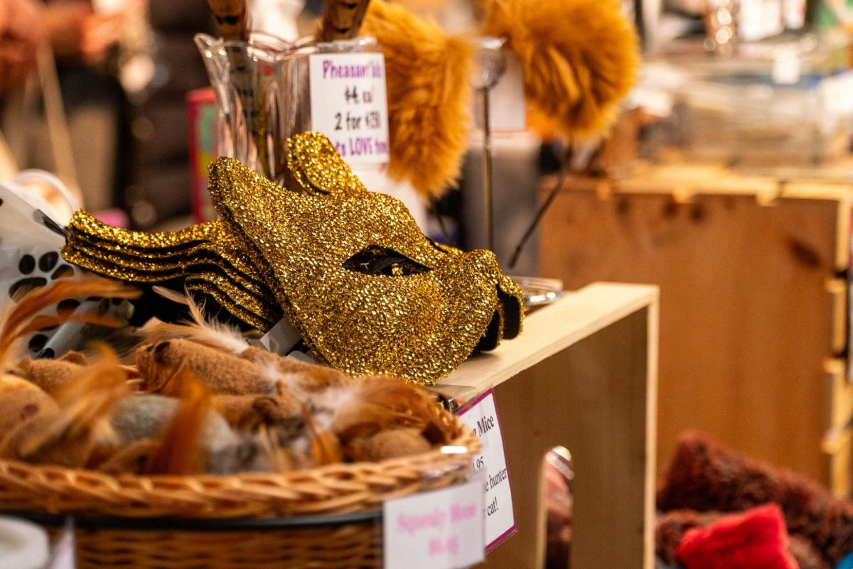 Vendors sell a variety of cat-related items at booths surrounding the stages. Some vendors traveled from across the states while others were Boston-based.