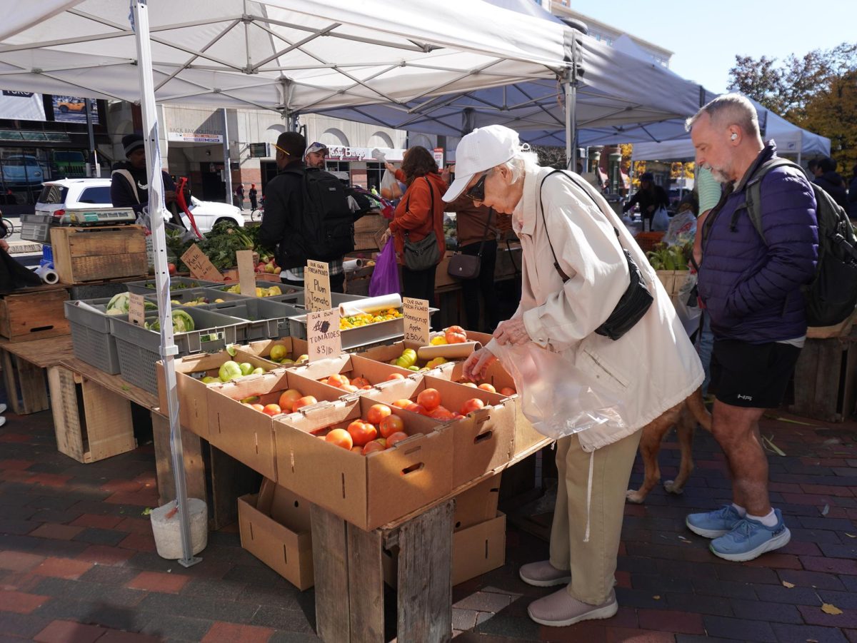 A customer peruses the tomato and apple selection at the market. Vendors provided shoppers vegetables, meats, fruits and hot food at their stands.