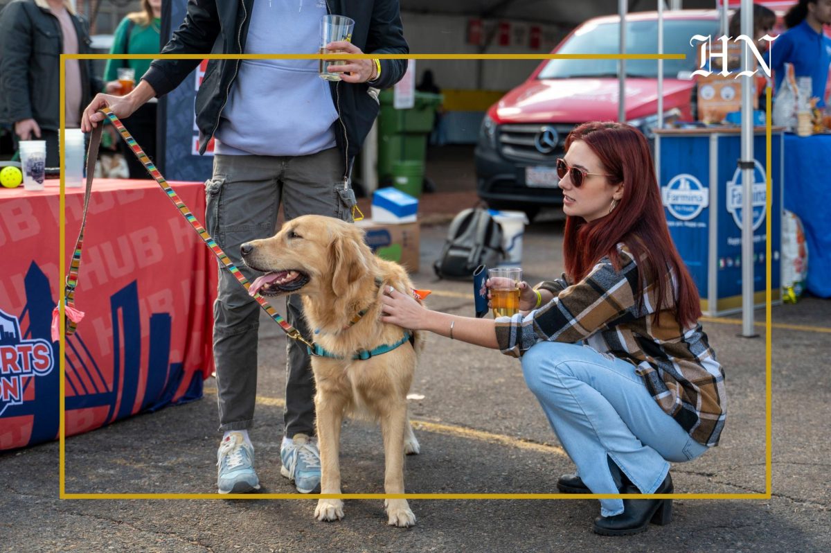 Video: Paw-trons raise a glass to furry friends, nonprofits at Harpoon Brewery’s Dogtoberfest