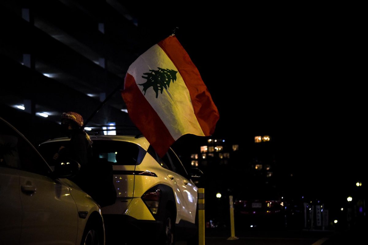 A picketer carries a Lebanese flag. Along with posters and signs, protesters also carried a variety of flags like those of Lebanon and Palestine.