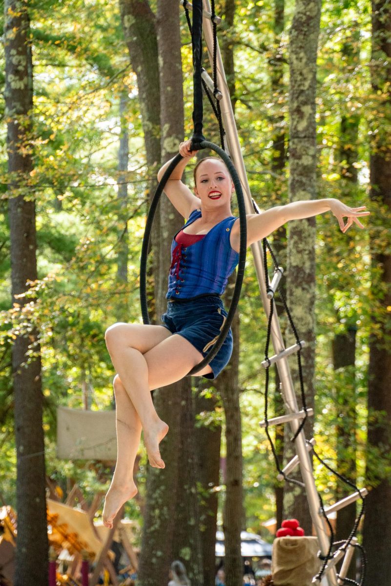 An aerialist performs on the Dance Stage. Each show repeated every few hours to give guests
many opportunities to attend multiple acts of their choice during their visit.