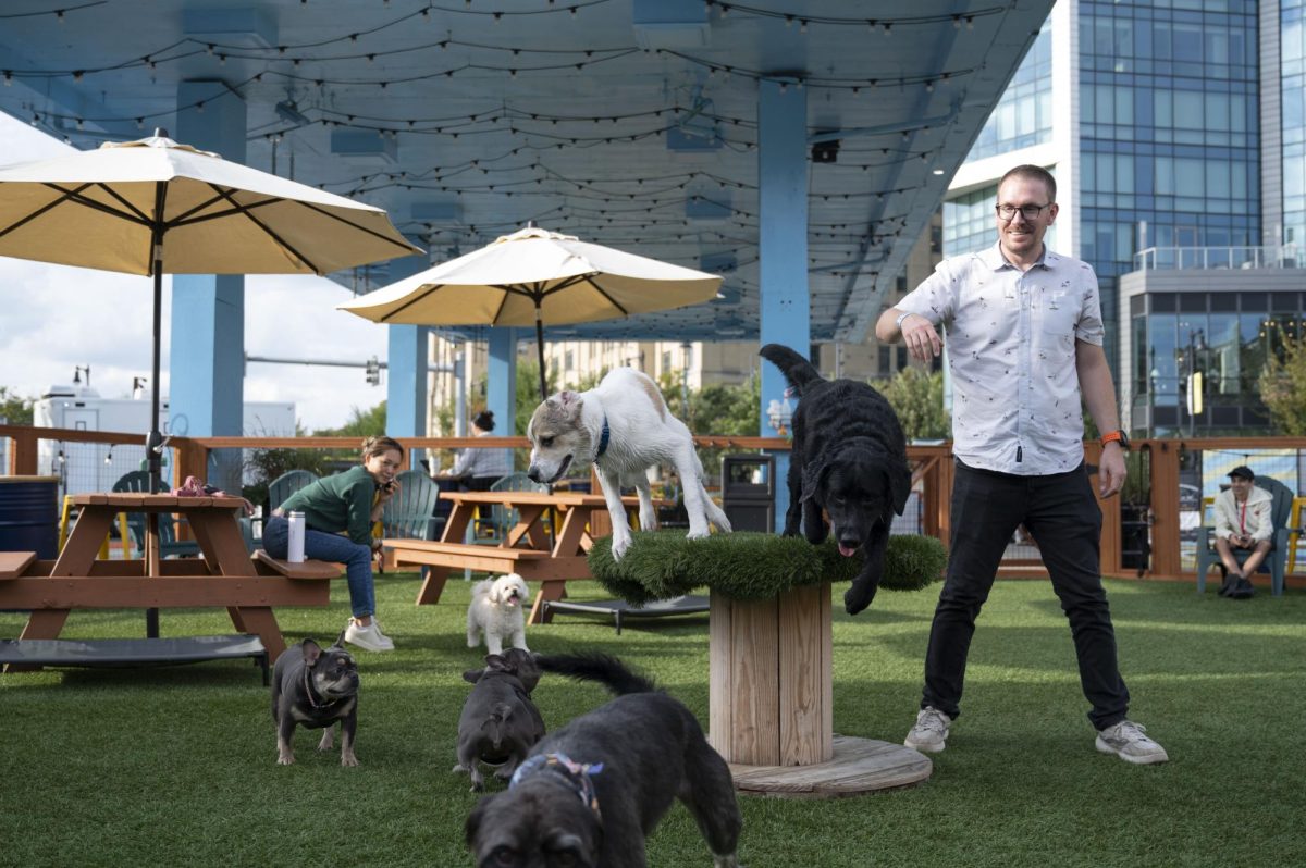 Dogs at Park-9 Fenway chase each other as their owners watch. The space opened with an outdoor park, bar and patio seating area.