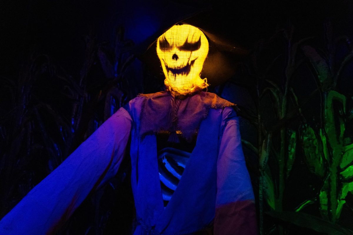 A scarecrow’s head illuminates the cornfield around him. The scarecrow was accompanied by spiders and ghouls seen throughout the harvest-themed haunted house.