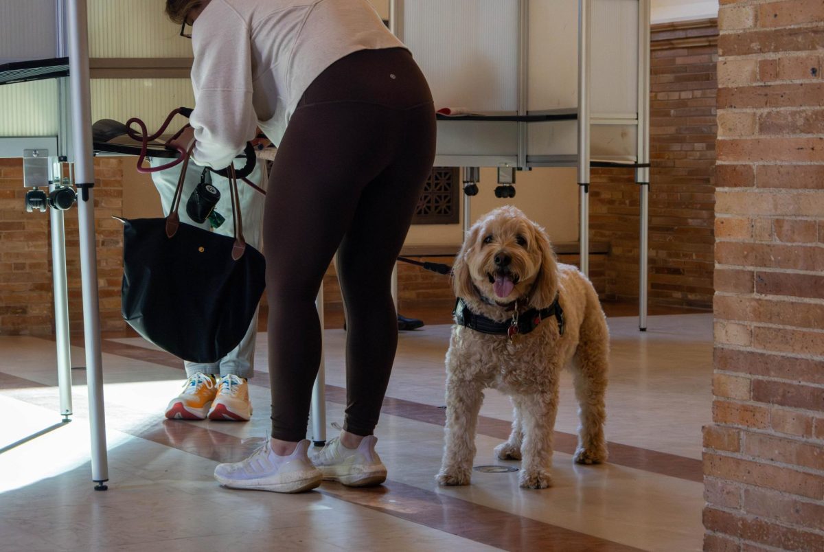 A dog waits for its owner to complete her ballot. Many voters brought their children and dogs to the polls.