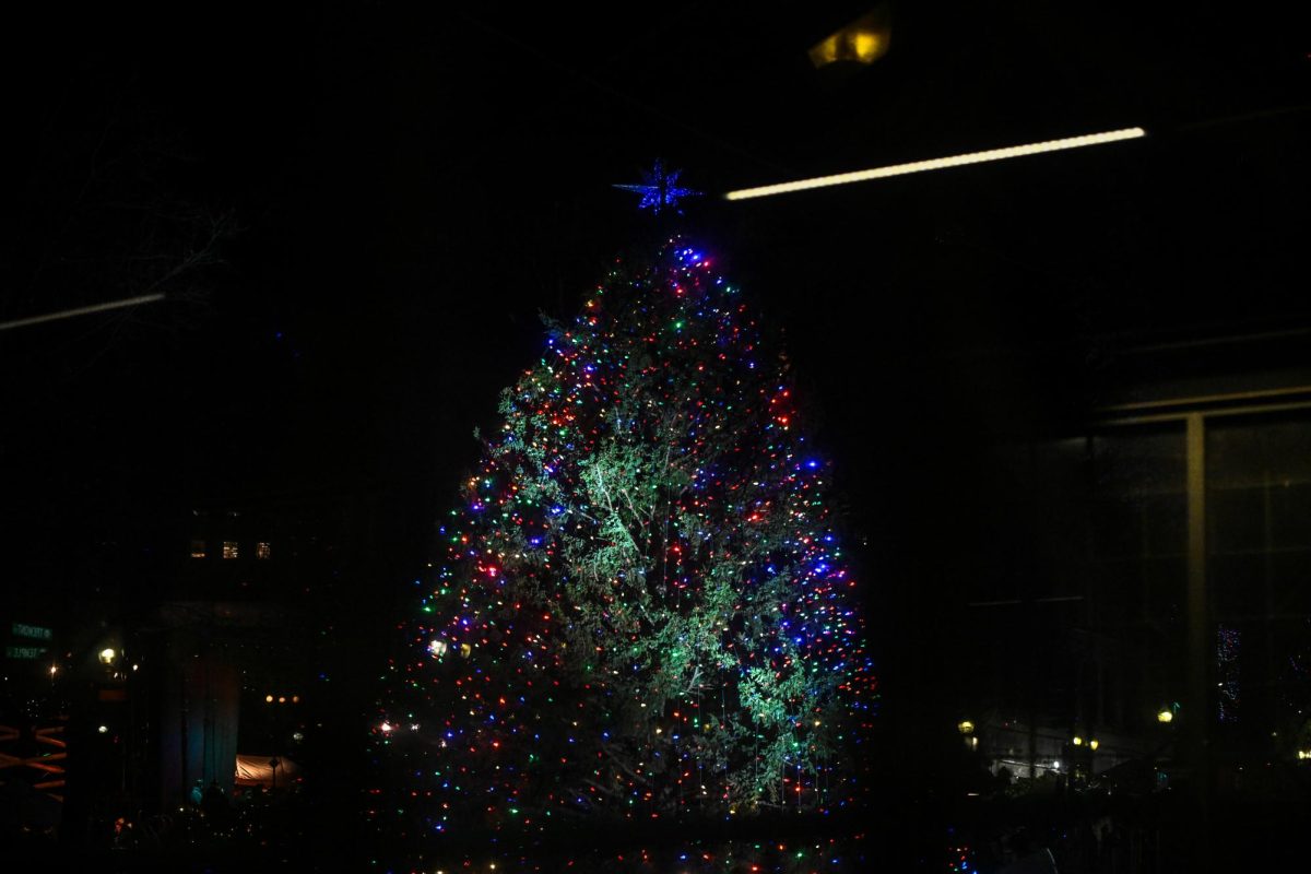 A Christmas tree stands lit up on Boston Common. Hundreds gathered to watch the tree lighting ceremony Dec. 5.