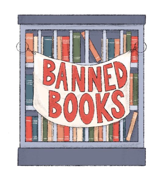 Op-ed: Are we banning books or empathy?