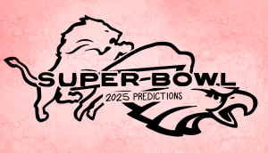 Super Bowl predictions: The Wild Card rounds