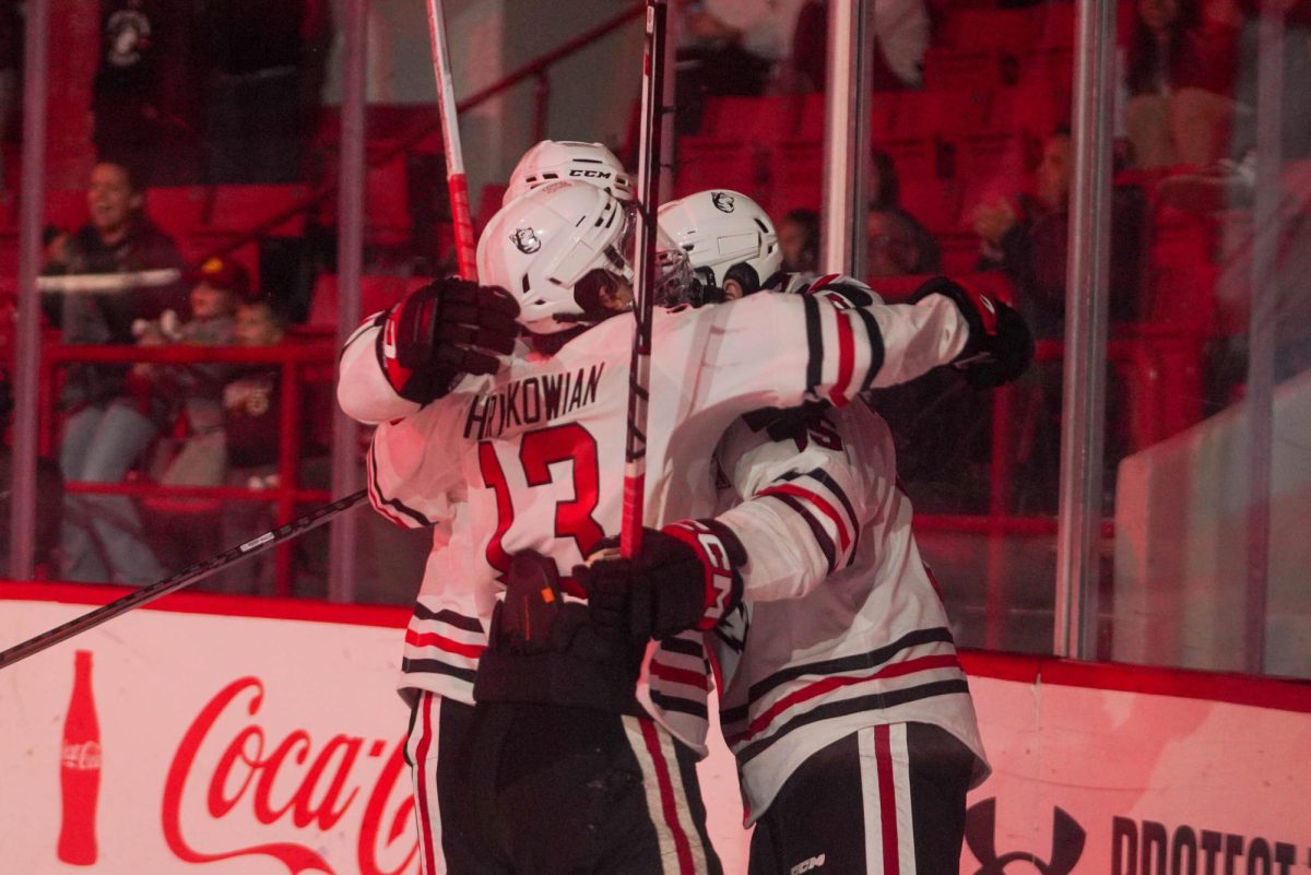 The men's hockey team celebrates after a goal against Stonehill College Oct. 12. The team earned a 5-1 victory against the No.17/No.18 Quinnipiac Bobcats Jan. 4. 