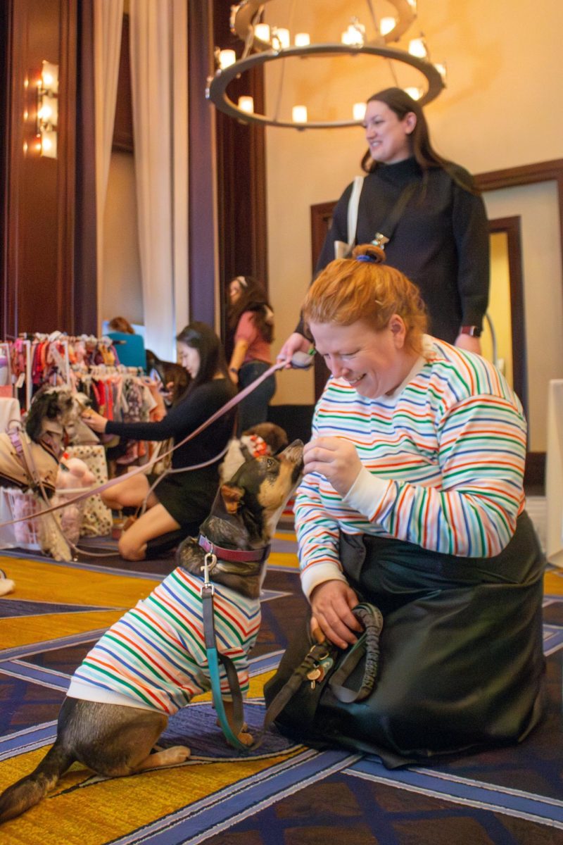 Emeline Walker, a middle school educator, feeds her 5-year-old German Shepherd and Chihuahua mix, Greta. Walker rescued Greta from Cape Ann Animal Aid shelter in Gloucester, Massachusetts, a nonprofit shelter she also volunteers at.