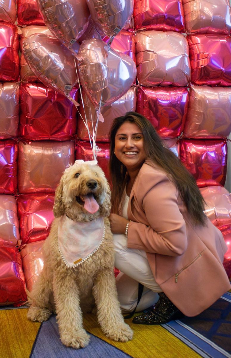 Oullette sits for a photo with her labradoodle, Ella Mae, dressed in pink. Boston Dog Moms prepared different backdrops for pet owners to capture the event with, including a balloon wall and a pink Valentine’s Day background.