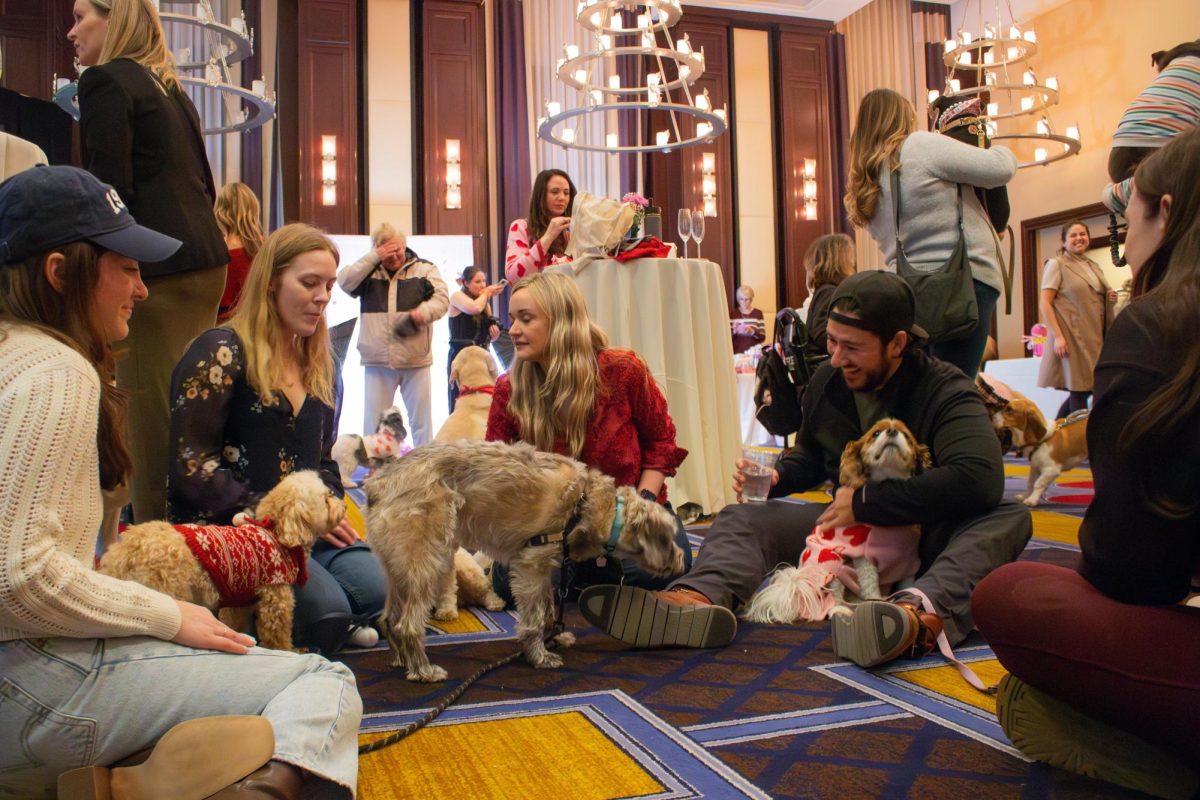 Several dog parents sit in a circle with their dogs, talking and laughing with one another. The event was a great way to get to know and connect with Boston’s large dog community.