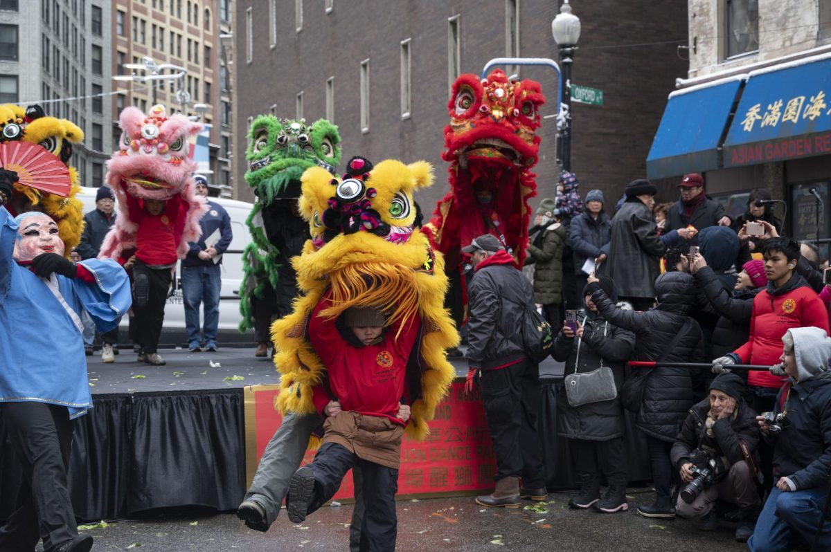 Two child lion dancers kick one foot up while performing for the audience. When not performing, members of Wah Lum Kung Fu formed a barricade for the audience by holding sticks horizontally.