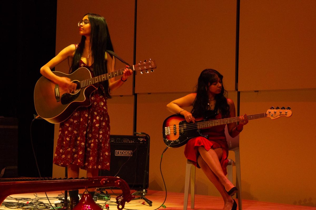 Two Aaroh guitar players accompany a Bollywood set. They joined singers in creating an upbeat atmosphere.