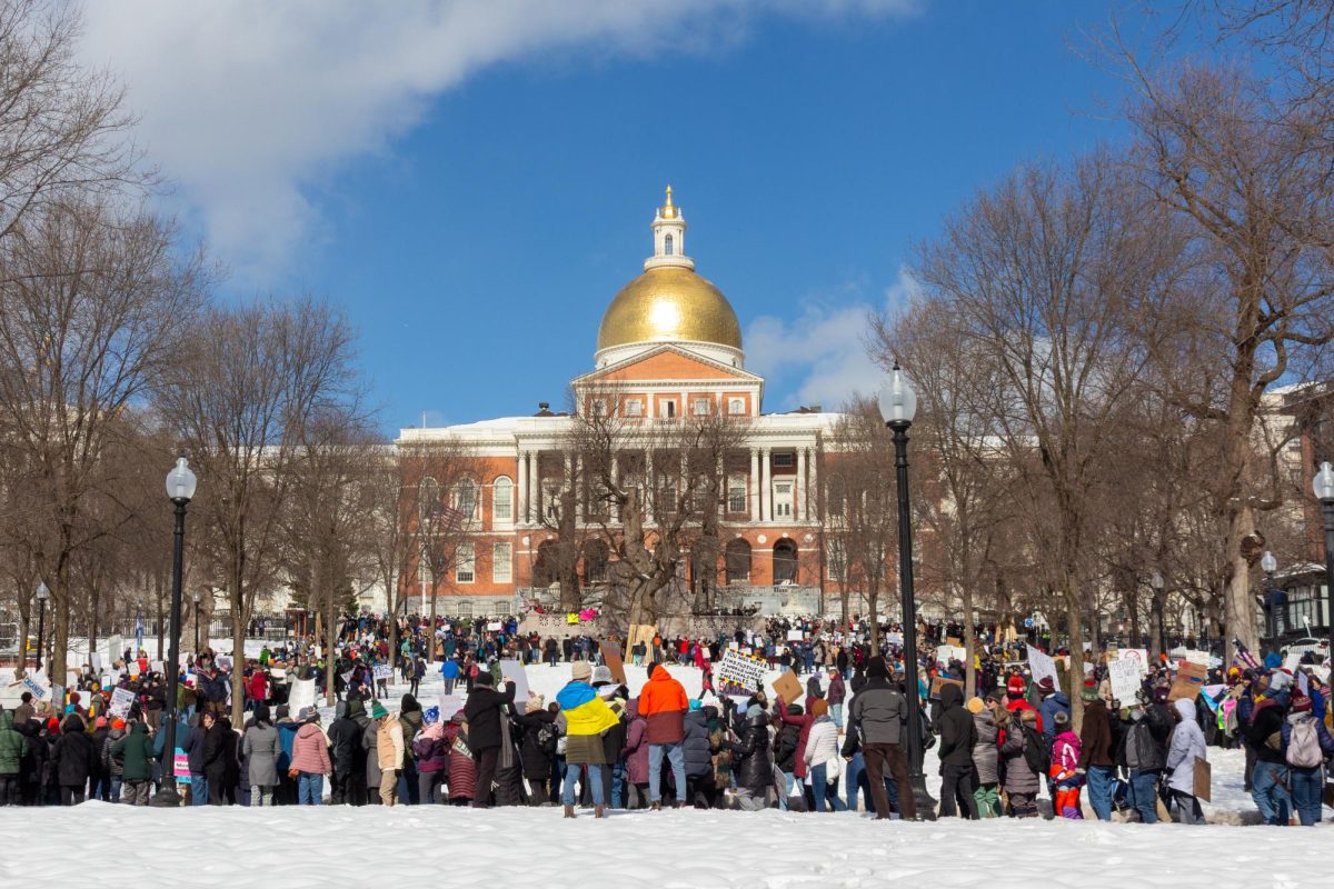 Thousands of protesters gather in Boston Common. The protest was part of 50501.