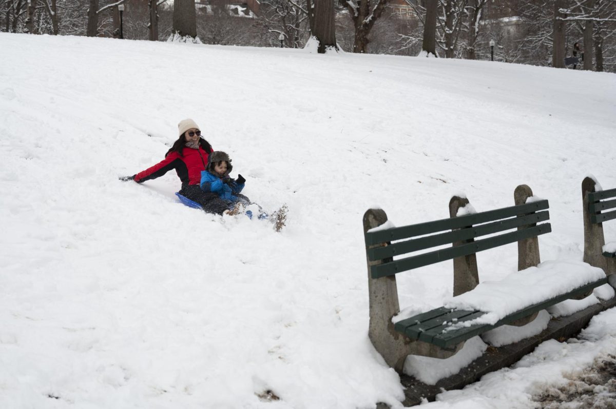 A mother and her son sled down the Boston Common hill together. Many families spent the day playing together in the snow.