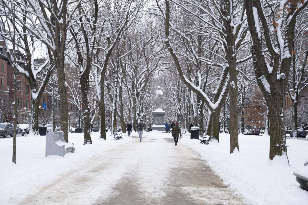 Bostonians walk along the Commonwealth Avenue pathway lined with snow-covered trees. Some stopped to take pictures and videos of the scenic views around them.