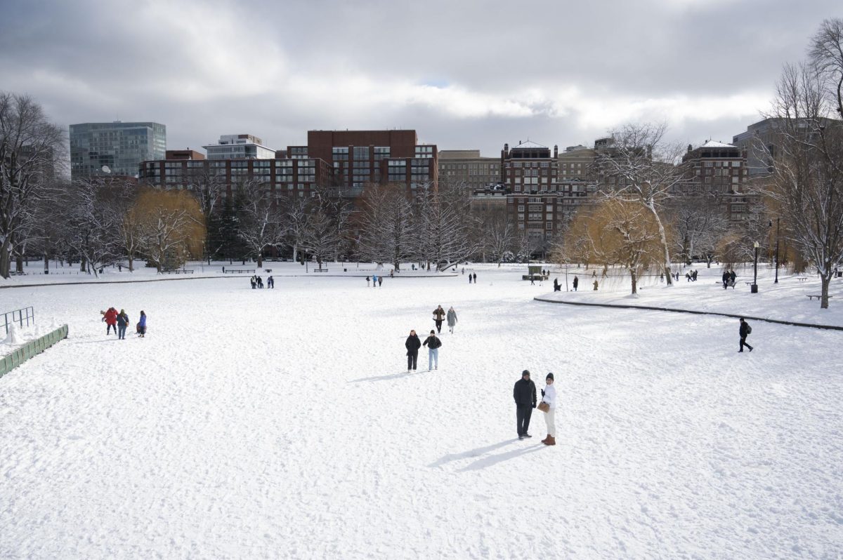 Visitors walk around and stand on the frozen Public Garden pond. Bostonians began skating on the pond when it first froze over a month ago.