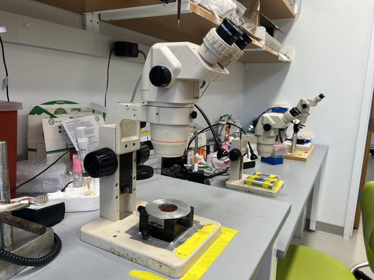 Microscopes in a lab in the Interdisciplinary Science and Engineering Complex. An executive order from the Trump administration Jan. 29 called for a freeze of all federal funds and loans.