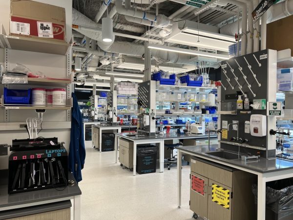 The interior of the RAISE Lab in EXP. The organization fosters both a welcoming and research-centered environment for passionate student scientists.