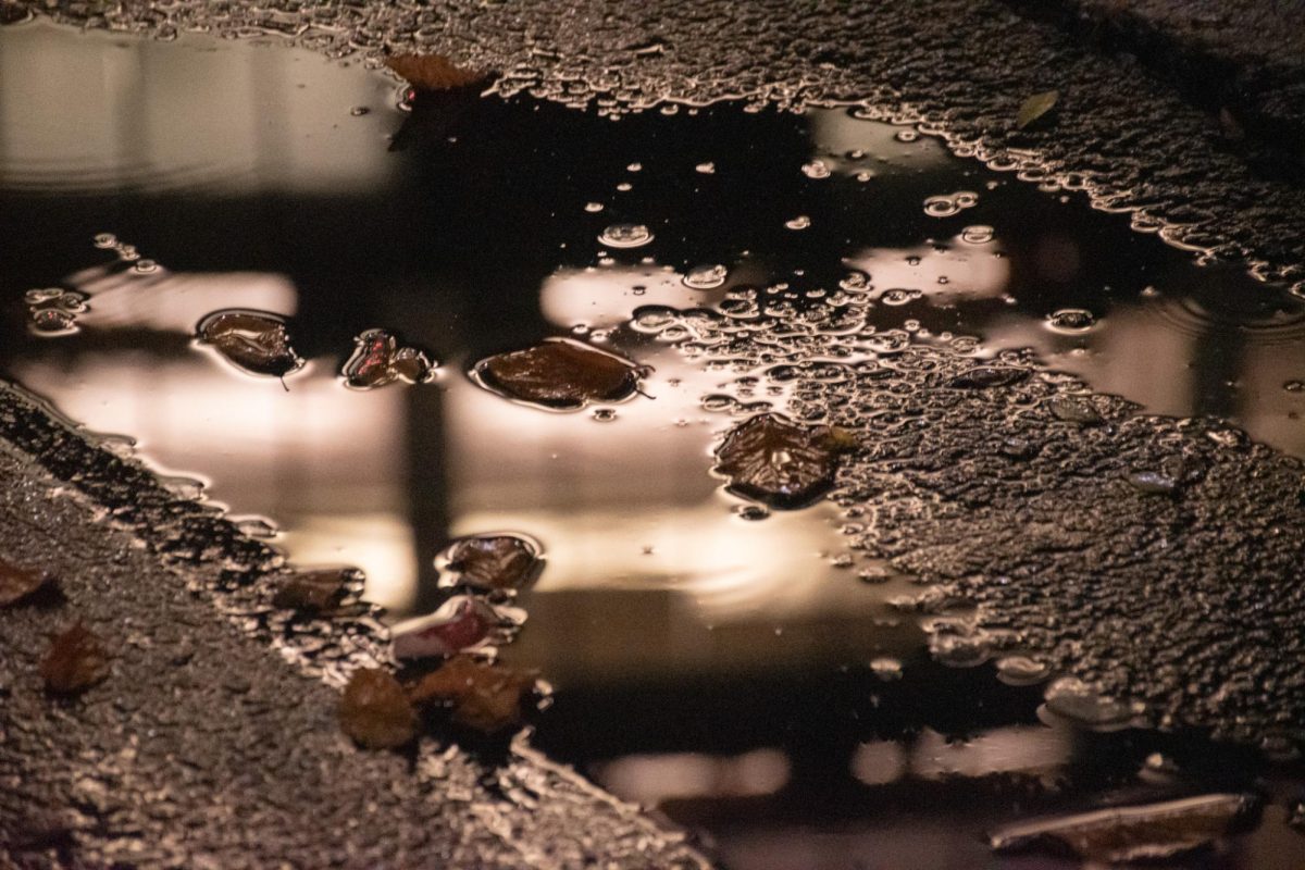 Rain drips into a puddle in front of Behrakis Health Sciences Center Nov. 13. On rainy days, Northeastern students often turned to museums, movies and card games to pass the time.