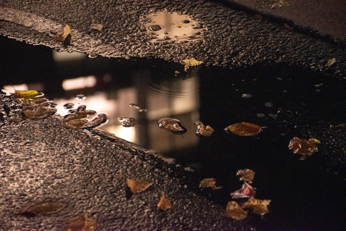 Rain drips into a puddle in front of Behrakis Health Sciences Center Nov. 13. Read more here.