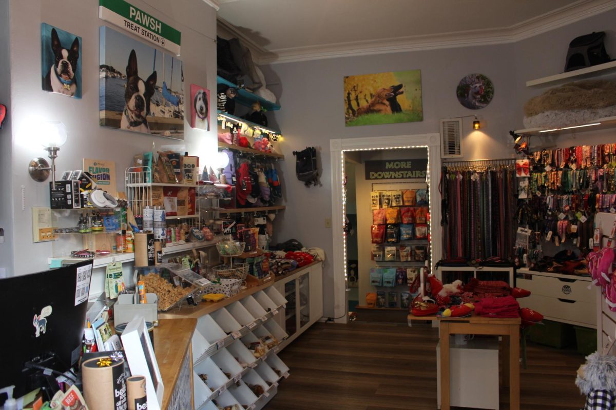 The interior of Pawsh Dog Boutique Jan. 19. Mike and Nancy Maida opened the boutique in 2008, after seeing a lack of pet services in Boston.