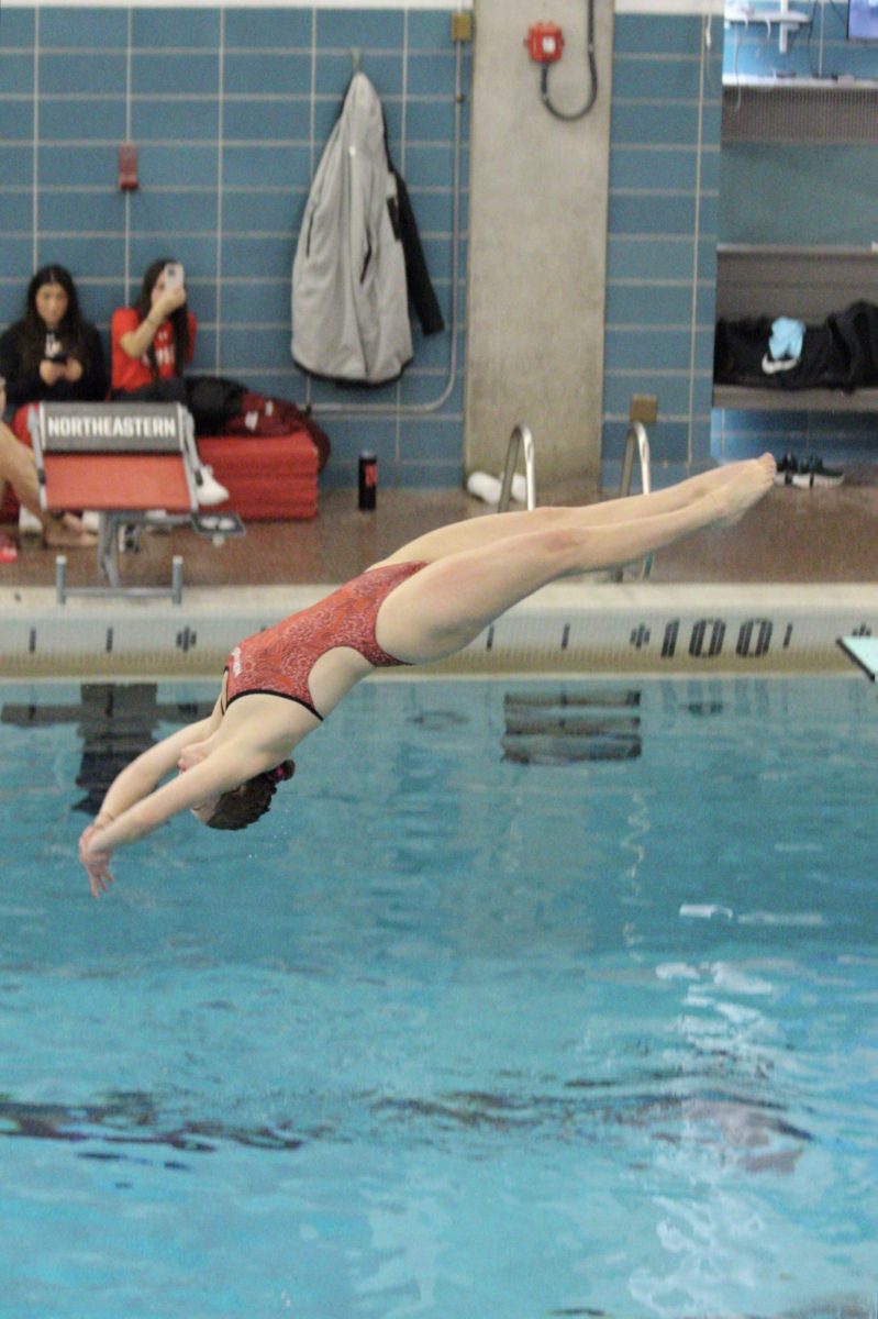 A diver flips backward into the water during the Boston Winter Open Diving Invitational Feb. 8. Read more here. 