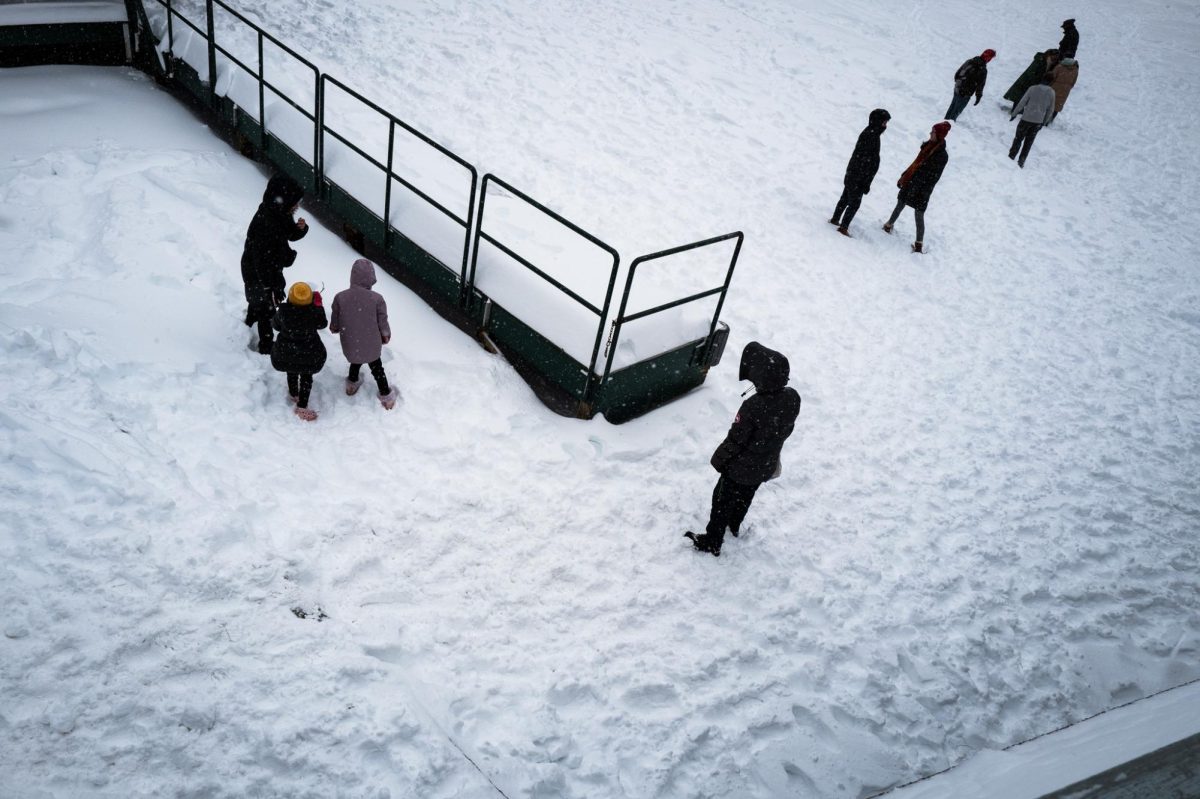 Bostonians wander around the snow-covered Common Jan. 27.The Common evolved from the colonial era into a space for leisure activities, celebrations and protests.