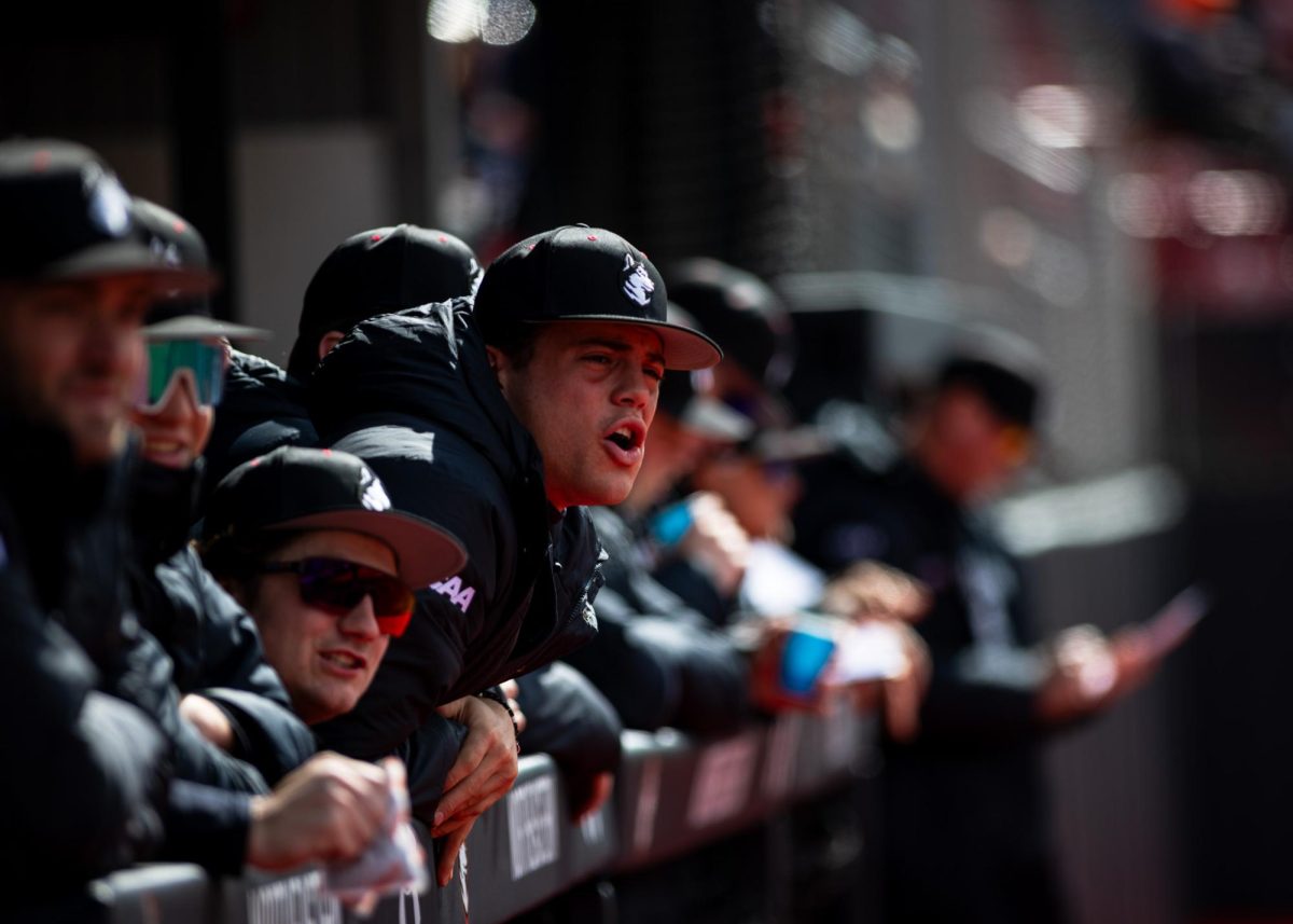 Tarantino cheers from the dugout during a game against Towson March 14. The catcher started 32 games for the Huskies this spring.